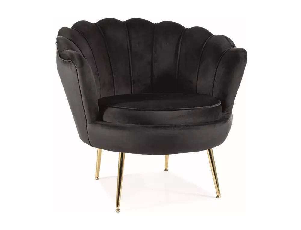 Fotel Camellia 1 Velvet czarny