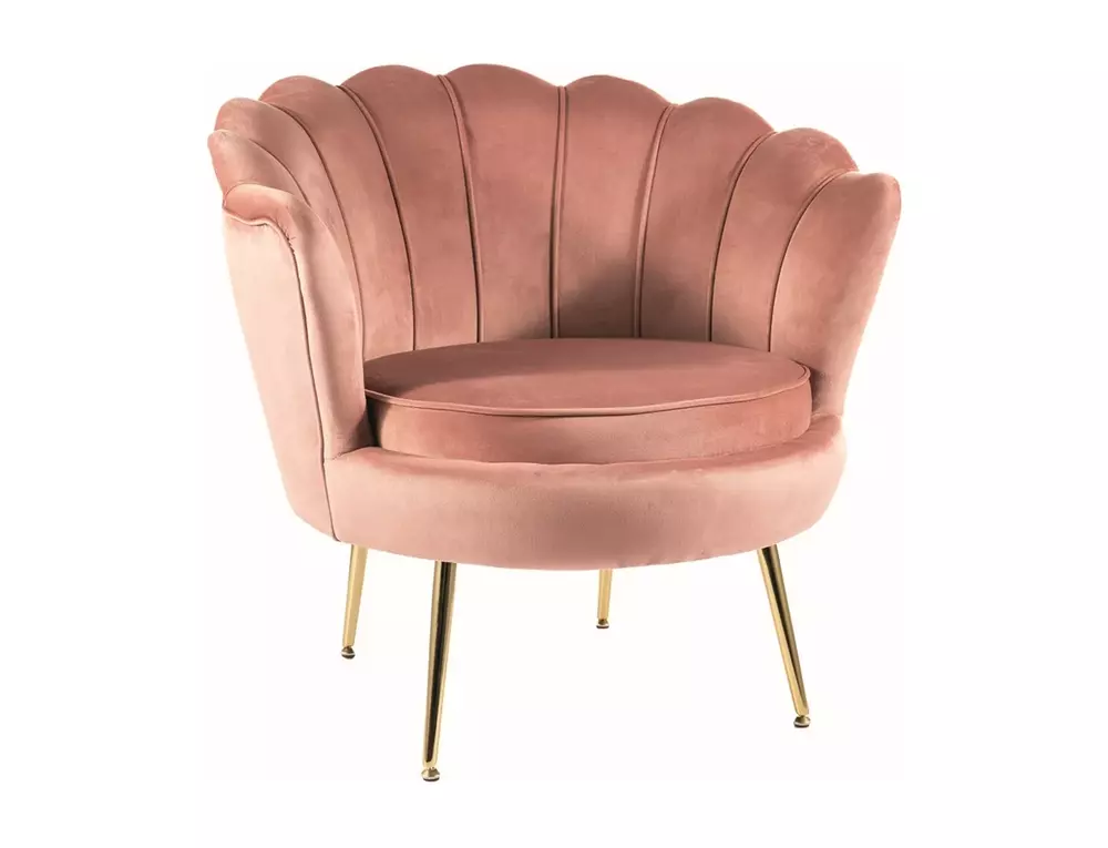 Fotel Camellia 1 Velvet antyczny róż