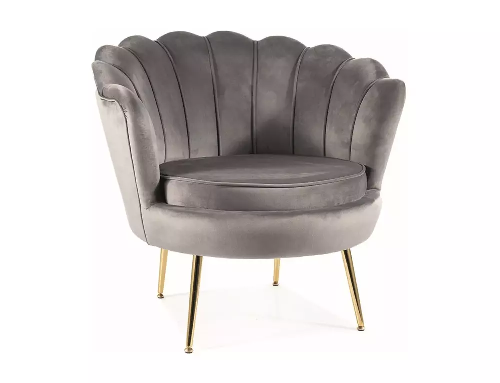 Fotel Camellia 1 Velvet
