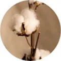 Bawełna organiczna w pokrowcu Hilding Fen