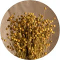 Naturalne włókna lnu w pokrowcu Linen Hilding Fen